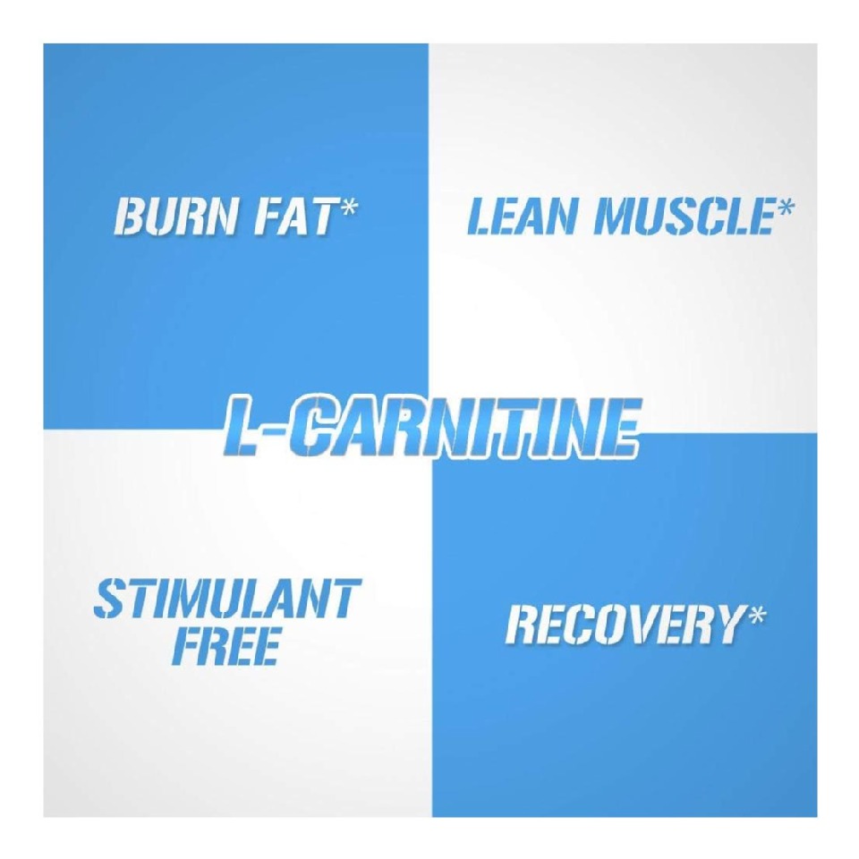 Evlution Nutrition (EVL) L-Carnitine 500, 120 capsules Unflavoured at Best  Price in India