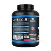 Vigour Fuel Iso Plus Whey Protein, 4.4 lb Mint Chocolate