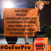 5 - Pro Nutrition & Fitness Whey Protein,  2.2 lb  Chocolate Brownie 