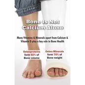 7 - Energya Fortifood,  375 g  Mango 