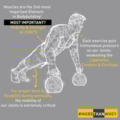 1 - MuscleBlaze Biozyme Collagen Whey,  2.2 lb  Gourmet Chocolate