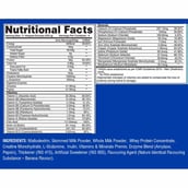 supplement - Gaspari Nutrition Real Mass Advanced, 2.2 lb Chocolate Ice Cream