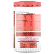 supplementinfo - Big Flex Essential Pre Workout,  0.88 lb  Watermelon 