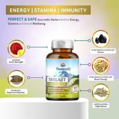 4 - Vaamveda Shilajit,  60 capsules 