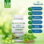 4 - Vaamveda Tulsi, Giloy & Amla,  120 tablet(s) 