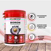 3 - Big Flex LMG(Light Machine Gun) Lean Mass Gainer,  6.6 lb  Thick Rich Chocolate + Pharmgrade Healthy Living Boron 60 Tabs Free 