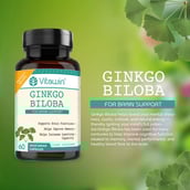 3 - VITAWIN Ginkgo Biloba for Brain Support (500 mg),  60 capsules 