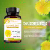 3 - VITAWIN Dandelion for Liver Support (500 mg),  60 capsules 