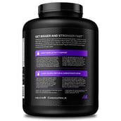 2 - MuscleTech Mass Tech Extreme 2000,  6 lb  Triple Chocolate Brownie 