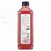 4 - Alo Frut Anaar Aloevera Juice,  0.200 L  Anaar (Pack of 5) 