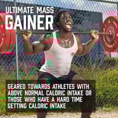 3 - BSN True-Mass 1200,  10.38 lb  Chocolate 