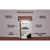 9 - Big Flex Essential Mass Gainer,  2.2 lb  Chocolate 