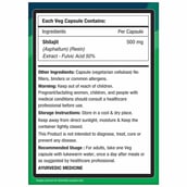 2 - NourishVitals Shilajit - Pack of 2,  60 veggie capsule(s) 