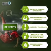 6 - XLR8 Instantised Vegan BCAA++, 0.99 lb 30 Servings Pineapple