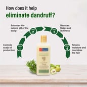 2 - Dr Batra's Dandruff Cleansing Shampoo (Pack of 3),  200 ml  Enriched with Thuja 
