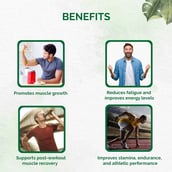 3 - Dr. Vaidya's Herbobuild,  50 capsules 