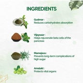 4 - Dr. Vaidya's Diabex,  30 capsules 