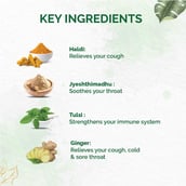 5 - Dr. Vaidya's Kadha Fizz (Pack of 3),  20 tablet(s) 