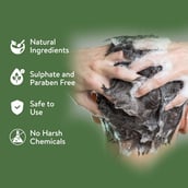 5 - Natural Infusions Zero Hair Fall & Zero Dandruff Shampoo, 250 ml Infused with Redensyl