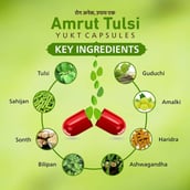 4 - Amrut Tulsi Yukt, 10 capsules