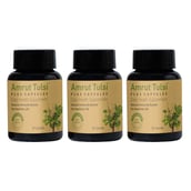 1 - Amrut Tulsi Plus (Pack of 3),  30 capsules 