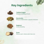 5 - Dr. Vaidya's Piles Care (Pack of 2), 30 tablet(s)