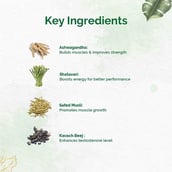 5 - Dr. Vaidya's Herbobuild DS,  30 capsules 