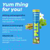 7 - Plix Life Ashwa Calm Lemon Twist,  15 tablet(s) 