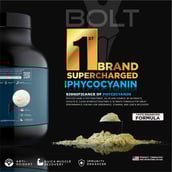 5 - Bolt Weight Gainer Super-Charged with Phycocyanin,  5 lb  Piedmont Chocolate with Free Shaker 