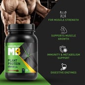 5 - MuscleBlaze Plant Protein OP, 2.2 lb Rich Chocolate