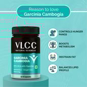 4 - VLCC Natural Sciences Garcinia Cambogia (Pack of 3), 60 capsules