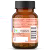 2 - Organic India Sugr Balance,  60 capsules 