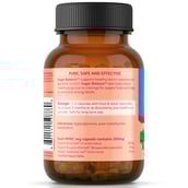 1 - Organic India Sugr Balance,  60 capsules 