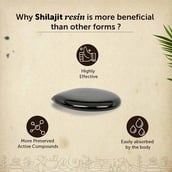 5 - Neuherbs Pure Himalayan Shilajit,  15 g