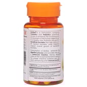 Shrey's Biofibe (Probiotic),  60 capsules  Unflavoured 