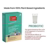 4 - Dr.Thins Probio,  30 Strip(s)  Natural Strawberry 
