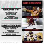 3 - Mutant Mass Gainer,  5 lb  Triple Chocolate 