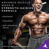 4 - MuscleTech Mass Tech Extreme 2000,  11.99 lb  Vanilla Milkshake 