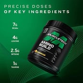 2 - MuscleTech Amino Build, 1.3 lb 40 Servings Strawberry Watermelon