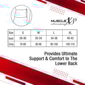 2 - MuscleXP Lumbo Sacral Belt,  Grey  Small 