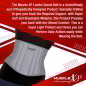 5 - MuscleXP Lumbo Sacral Belt,  Grey  Large 