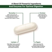 3 - Genetic Nutrition Ultra Digestive Enzymes,  30 capsules 