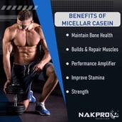 5 - Nakpro Micellar Casein Protein,  2.2 lb  Chocolate Cream 