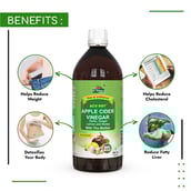 4 - Dr. Patkar's Apple Cider Vinegar with Mother,  1 L  Garlic, Ginger, Lemon and Honey 