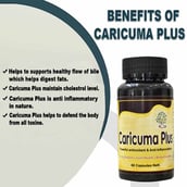 3 - Ayurveda Yogashram Remedies Caricuma Plus, 60 capsules