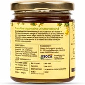 2 - Smartveda Wild Forest Honey,  250 g  Natural 