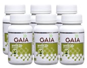 GAIA Amla (Pack of 6), 60 capsules