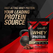 5 - MuscleXP 100% Whey Protein with Digestive Enzyme, 2.2 lb Double Chocolate Pack of 2