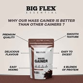 4 - Big Flex Essential Mass Gainer, 2.2 lb Chocolate