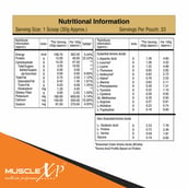 3 - MuscleXP Beginner's Protein with Digestive Enzymes, 2.2 lb Belgium Chocolate